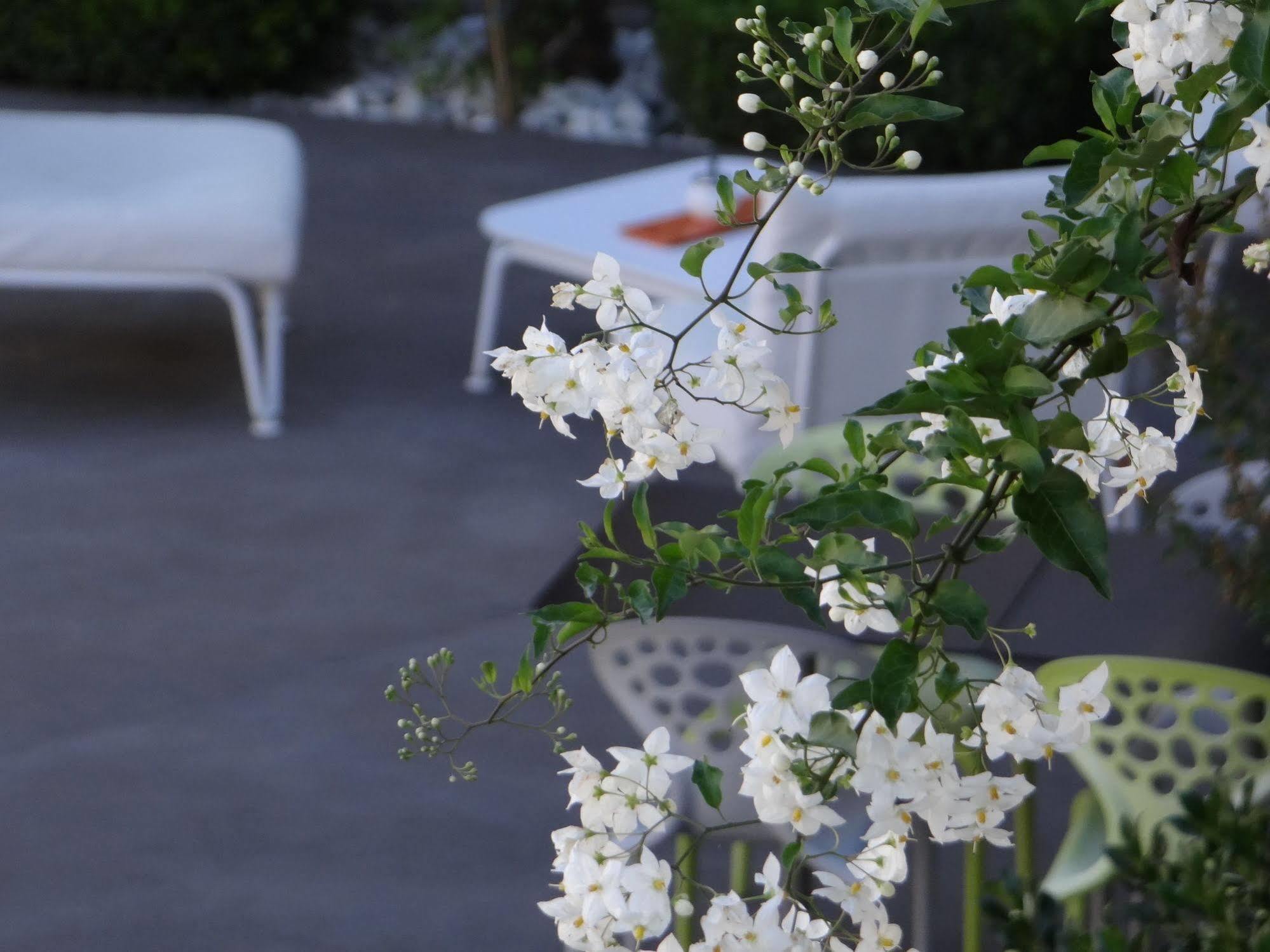 Hotel Patio De Violette Uzès Exteriér fotografie